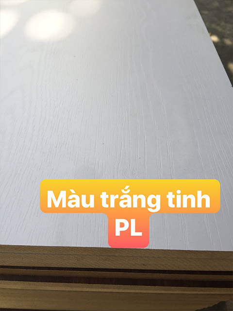 Màu trắng tinh - Mã 102PL