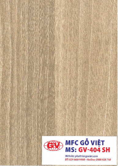 404 SH