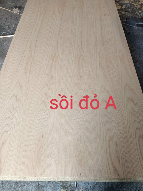 Veneer sồi đỏ A
