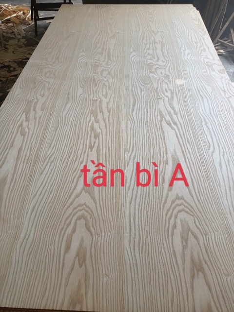 Veneer tần bì A