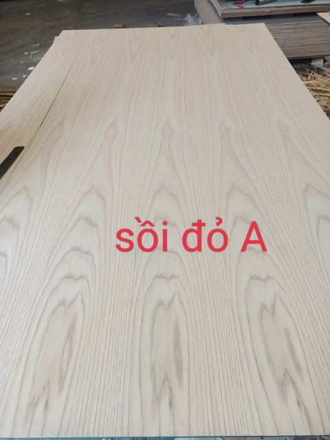 Veneer sồi đỏ A