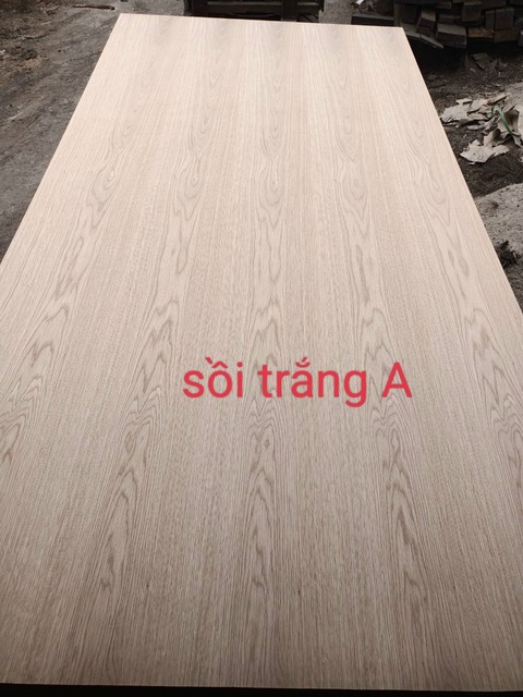 Veneer sồi trắng A