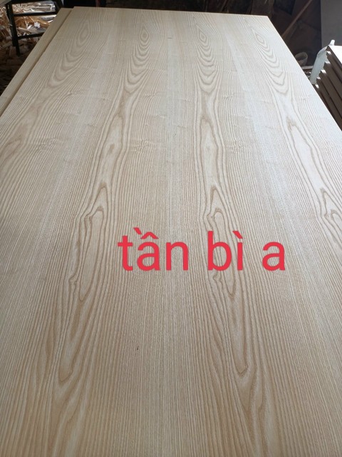 Veneer tần bì A