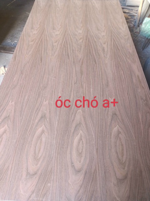 Veneer óc chó A +