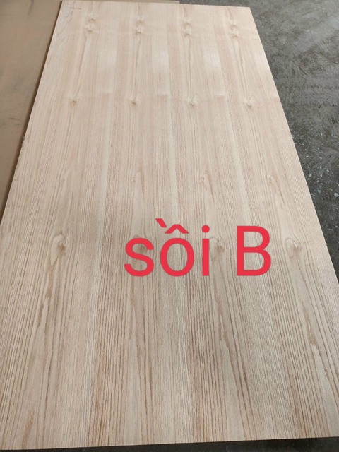 Veneer sồi B