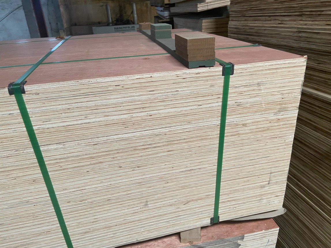 Công Ty TNHH Đầu Tư Và Phát Triển Gỗ Việt